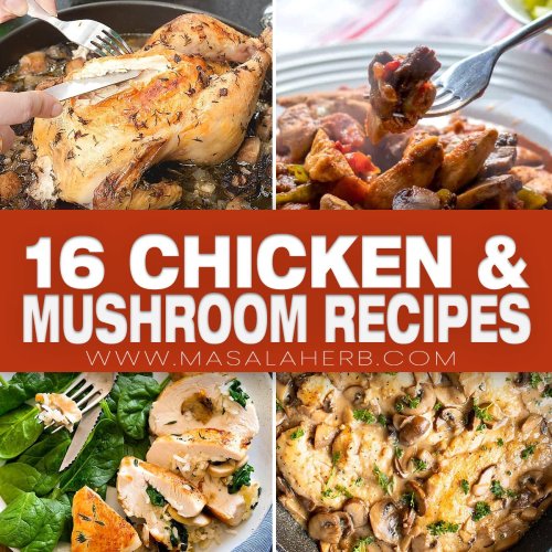 16 Ways to Turn Chicken & Mushrooms into Irresistible Meals