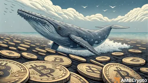 Is Bitcoin’s silent momentum building beneath the surface? Let's find out!