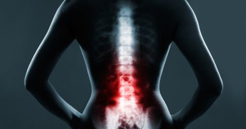 Cancer drug triggers remarkable recovery from spinal cord injury in mice