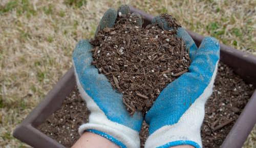 HOW TO REFRESH OLD POTTING SOIL
