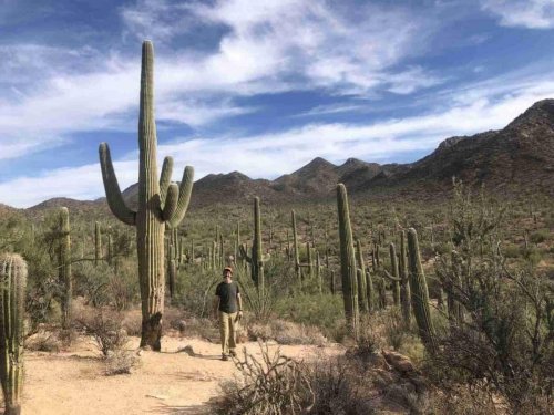 Meet the Mighty Cactus: Saguaro National Park Guide