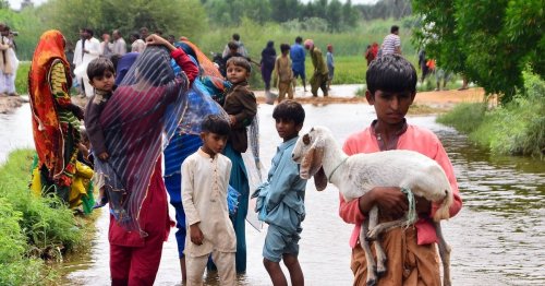 Horror in Pakistan: 1,000 dead as floods bring death and destruction 