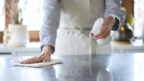 Use Rubbing Alcohol To Remove These Pests From Your House