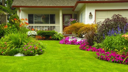 Lawn edging ideas to try out in your yard
