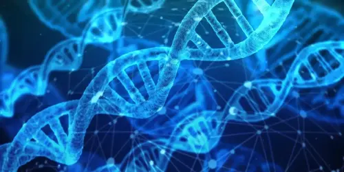 Longevity: So leben Sie möglichst lange und gesund