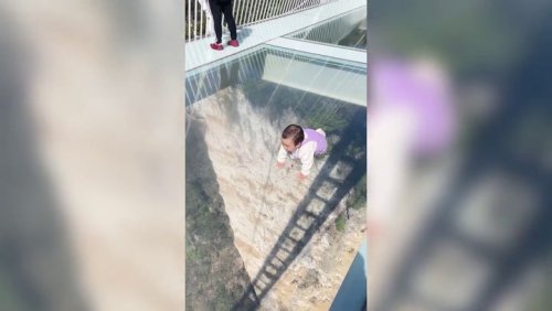 Fearless baby crawls over glass bridge with 1,000ft drop