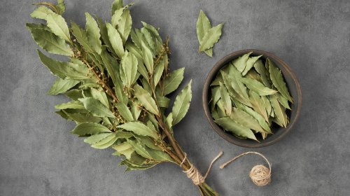 Read This Before Cooking With Bay Leaves