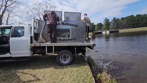 US: US Fish And Wildlife Service Stocks Trout At Fort McCoy For 2025