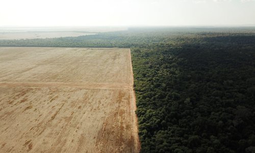 The Amazon Rainforest Is Still Under Attack