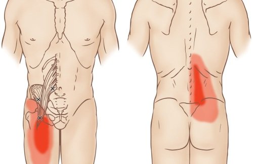 Restore Hip and Lower Back Mobility: Stretches Your Body Is Begging For