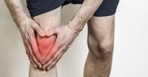 Hormone-hardened tendons could help repair torn knee cartilage
