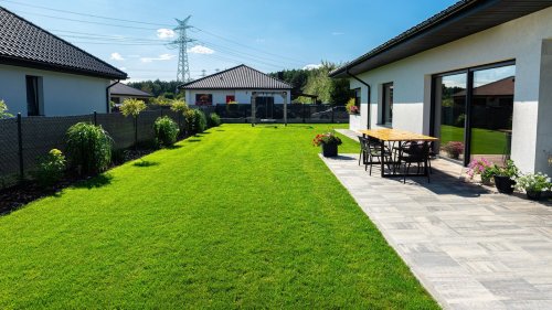 Stunning ground covers for a low-maintenance lawn 