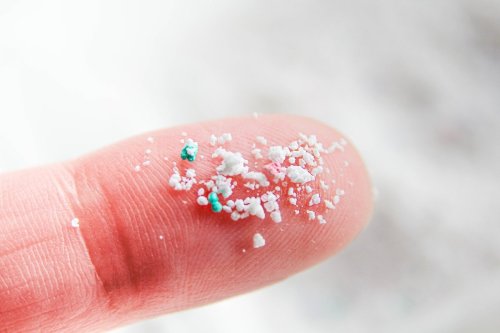 How to cutback on your microplastic intake
