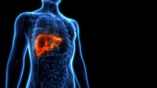 Uncovering The Genetic Causes of Fatty Liver Disease – A Growing Health Concern