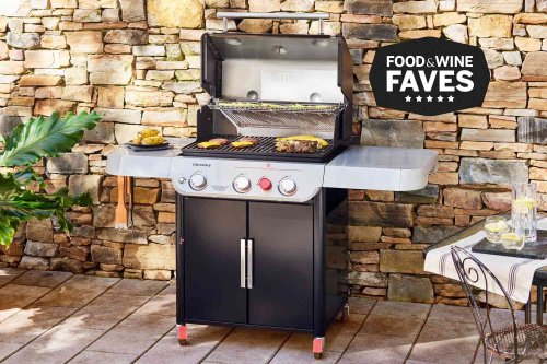 The Best Grills for Every Price and Person
