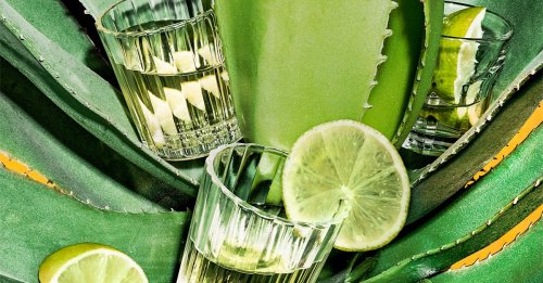 The Best Tequila Brands For Your Money, In 2023