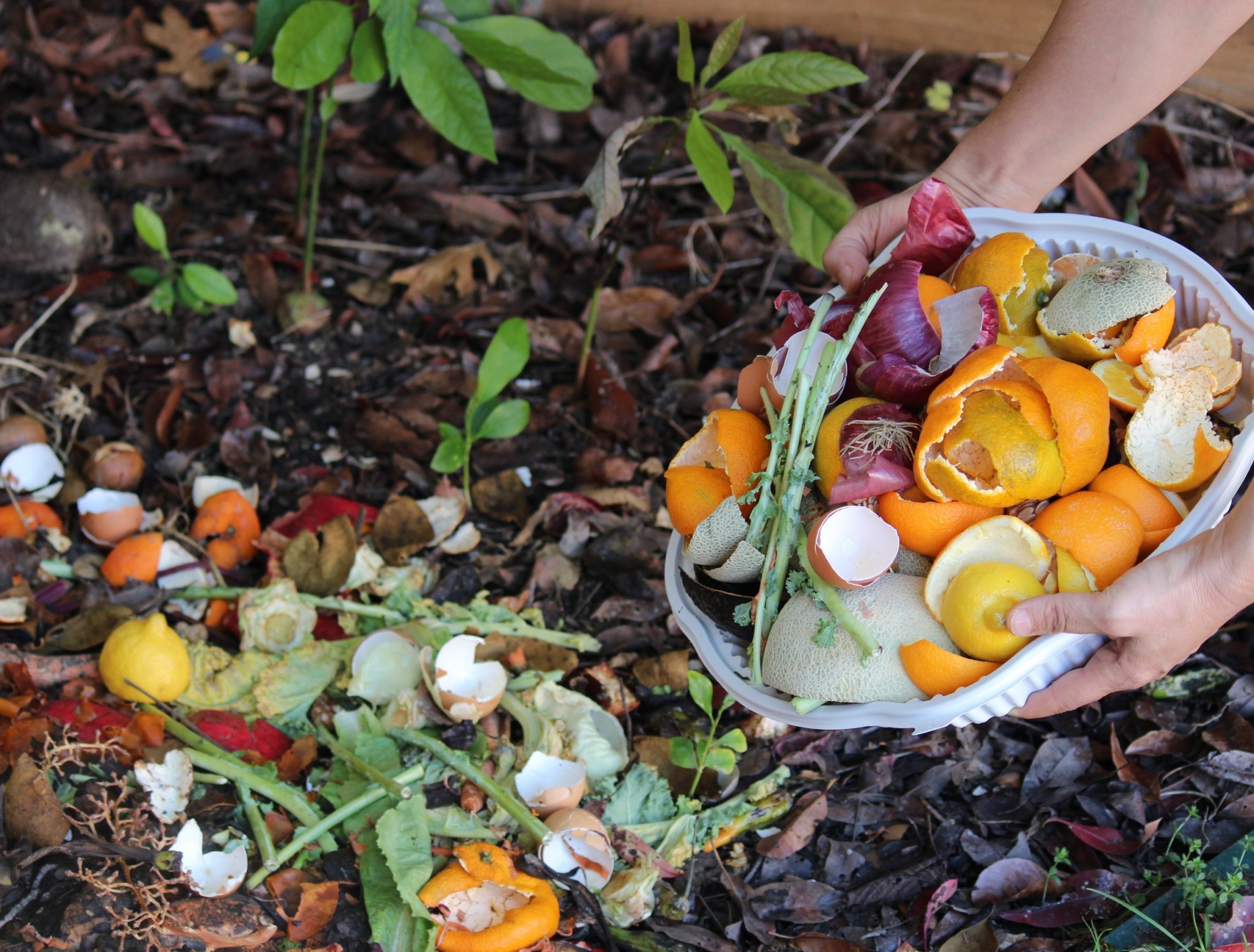 THE BEST TIME TO ADD COMPOST TO YOUR GARDEN