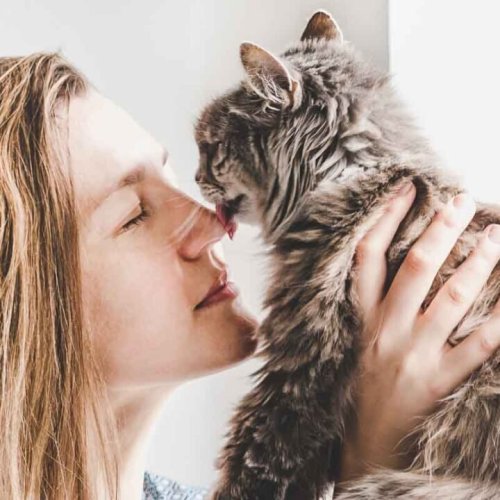 11 Weird Things Cats Do to their Owners