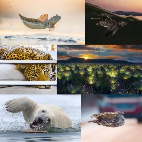 You Need to See These Photos to Believe Them