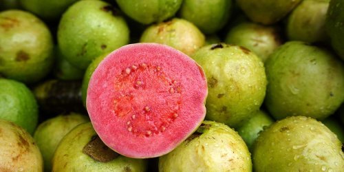 Nutrition cover image