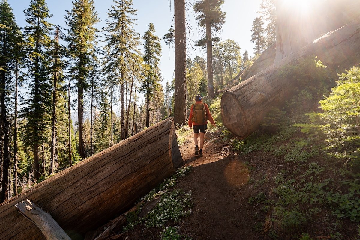 Do you live in one of the best U.S. states for hiking? Here are the top states
