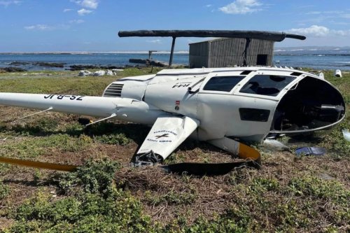 A penguin caused a helicopter crash. Here's what we know