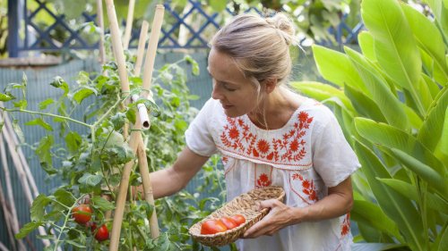 Vegetables and herbs that shouldn't grow next to each other 