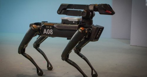 Watch: 7 Robots That Will Take Over the World