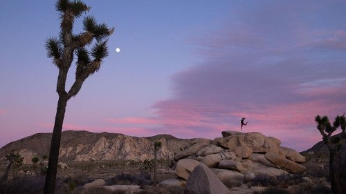 California Dreaming: 8 Adventure Vacation Ideas to Enjoy the Outdoors