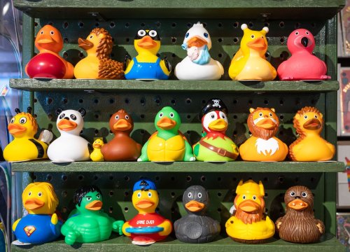 Why experts are concerned bird flu could emerge as the next pandemic 