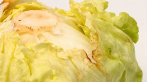 If You See Red Stuff on Your Lettuce, You Should Still Eat It
