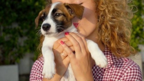 Have You Ever Heard of Cute Aggression? Find Out The Science Behind It