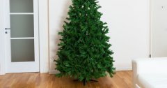 Discover tree christmas tree