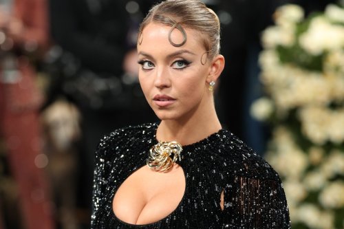 Not everyone was of a fan of Sydney Sweeney's open-front Met Gala look