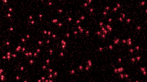 Quantum Mechanics is Helping Our Understanding of Strange States of Matter
