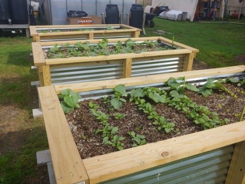 12 Raised Garden Bed Plans for Building Your Ideal Plot