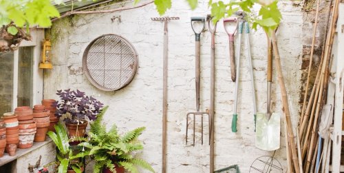 Best Gardening Tools to Keep Your Lawn and Flower Beds Charming