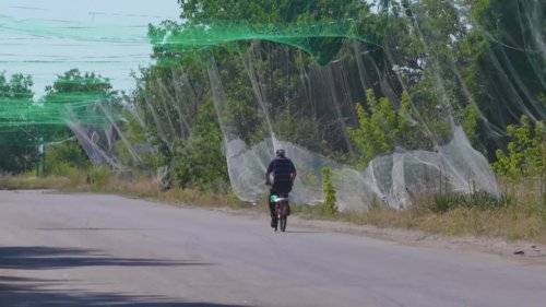 Ukraine discovers low-tech defense against Russian drones