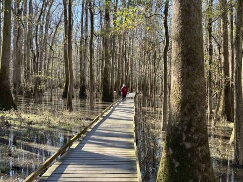 Hidden Wonders: America’s Least-Visited National Parks