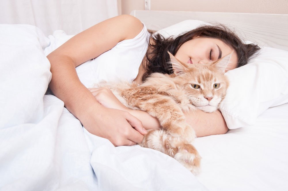 4 Reasons Your Cat Wants to Sleep With You