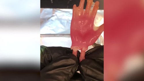 New Video: Bioengineers have devised way of growing skin in the shape of HANDS