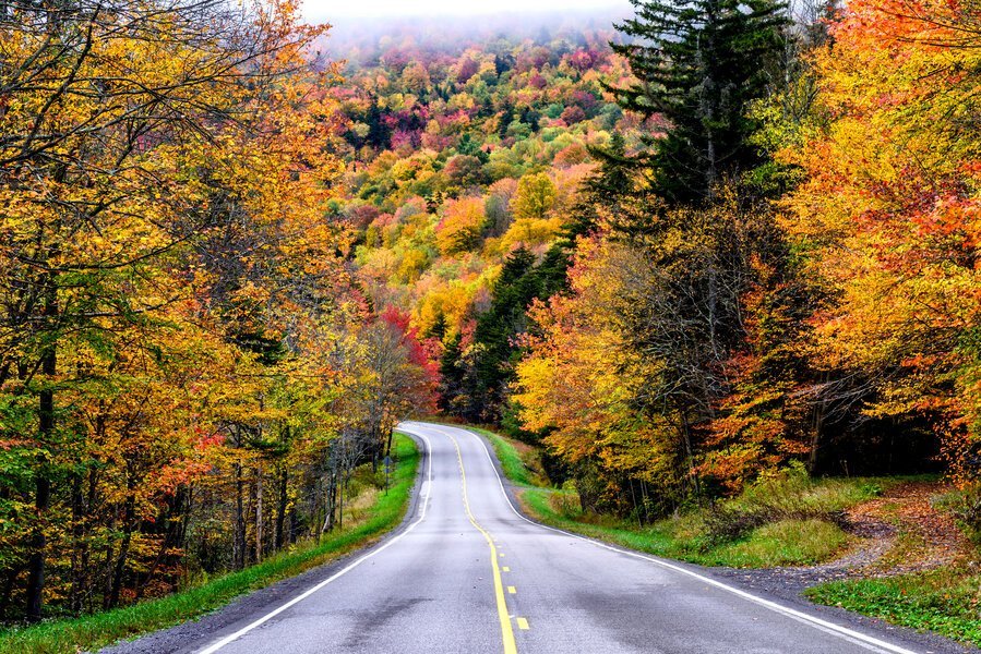 The Most Beautiful Places to See Fall Foliage