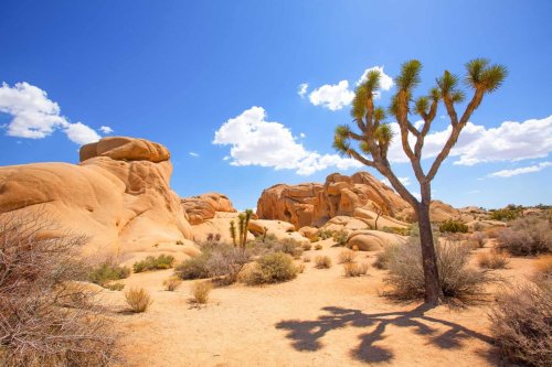 Hiking in Southern California - Where to Find the Best Trails
