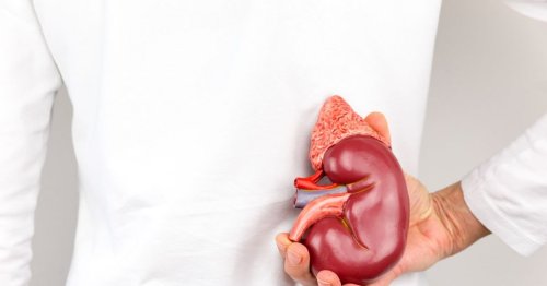 Signs and Symptoms of Kidney Cancer — Plus Risk Factors & Diet Tips