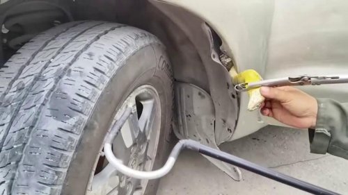 Thailand: King cobra caught in construction worker's pickup truck