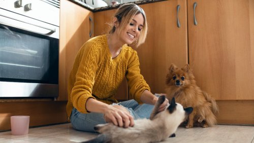 The 5 Best Ways To Get Your Home Ready For A New Pet