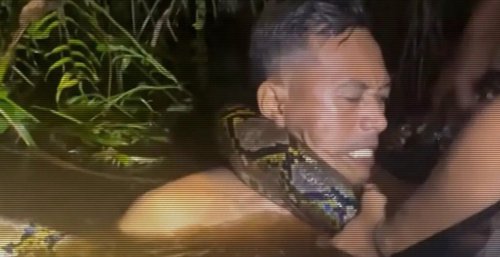 This python dragging a man underwater might be your new biggest fear