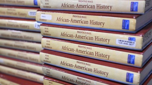 The African American Studies Controversy