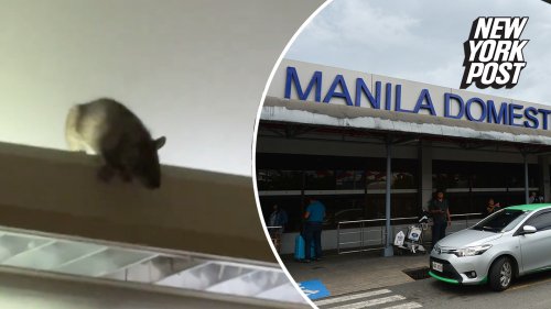 Rat caught crawling overhead at world's worst airport
