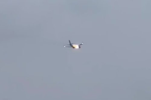 United Airlines plane engine sucks up rabbit, forcing emergency landing